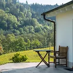 Apartment Im Saegegaessle *