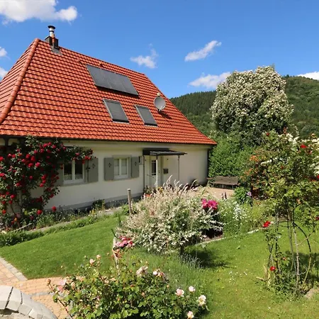 Apartment Im Saegegaessle