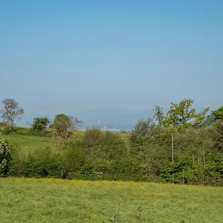 아파트 Im Saegegaessle 바덴바일러