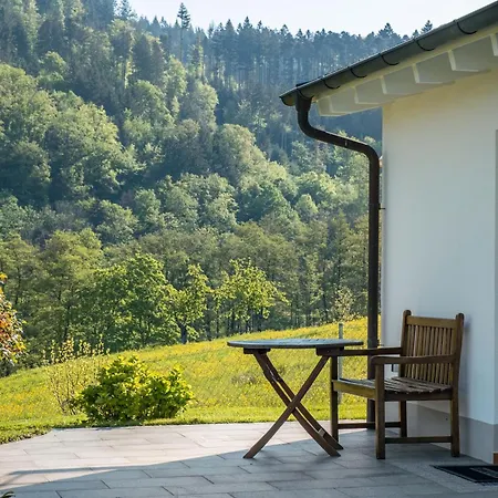 Apartment Im Saegegaessle *