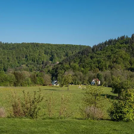 아파트 Im Saegegaessle 바덴바일러