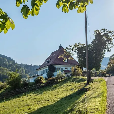 Im Saegegaessle 아파트 바덴바일러